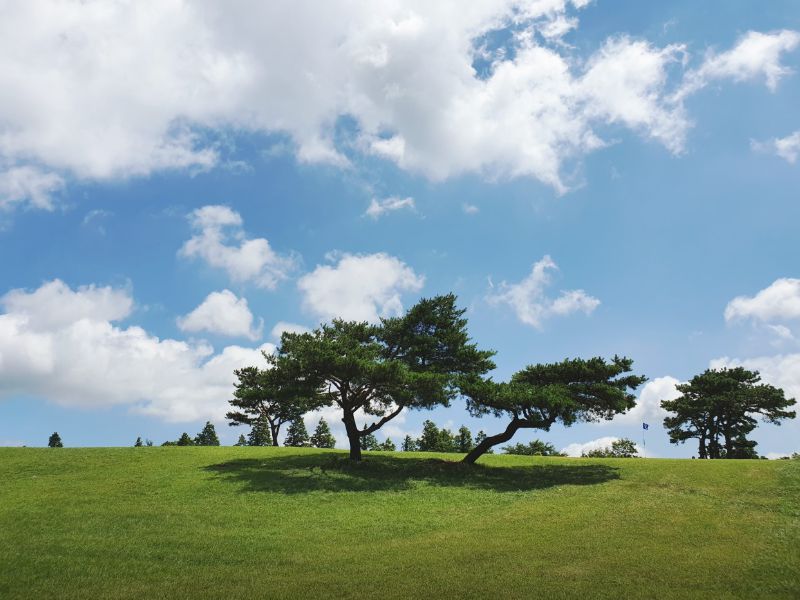 화랑의언덕