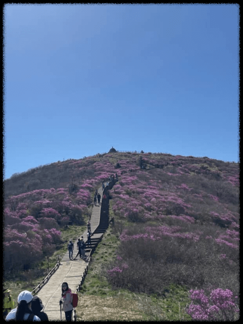 국립공원 예약통합시스템