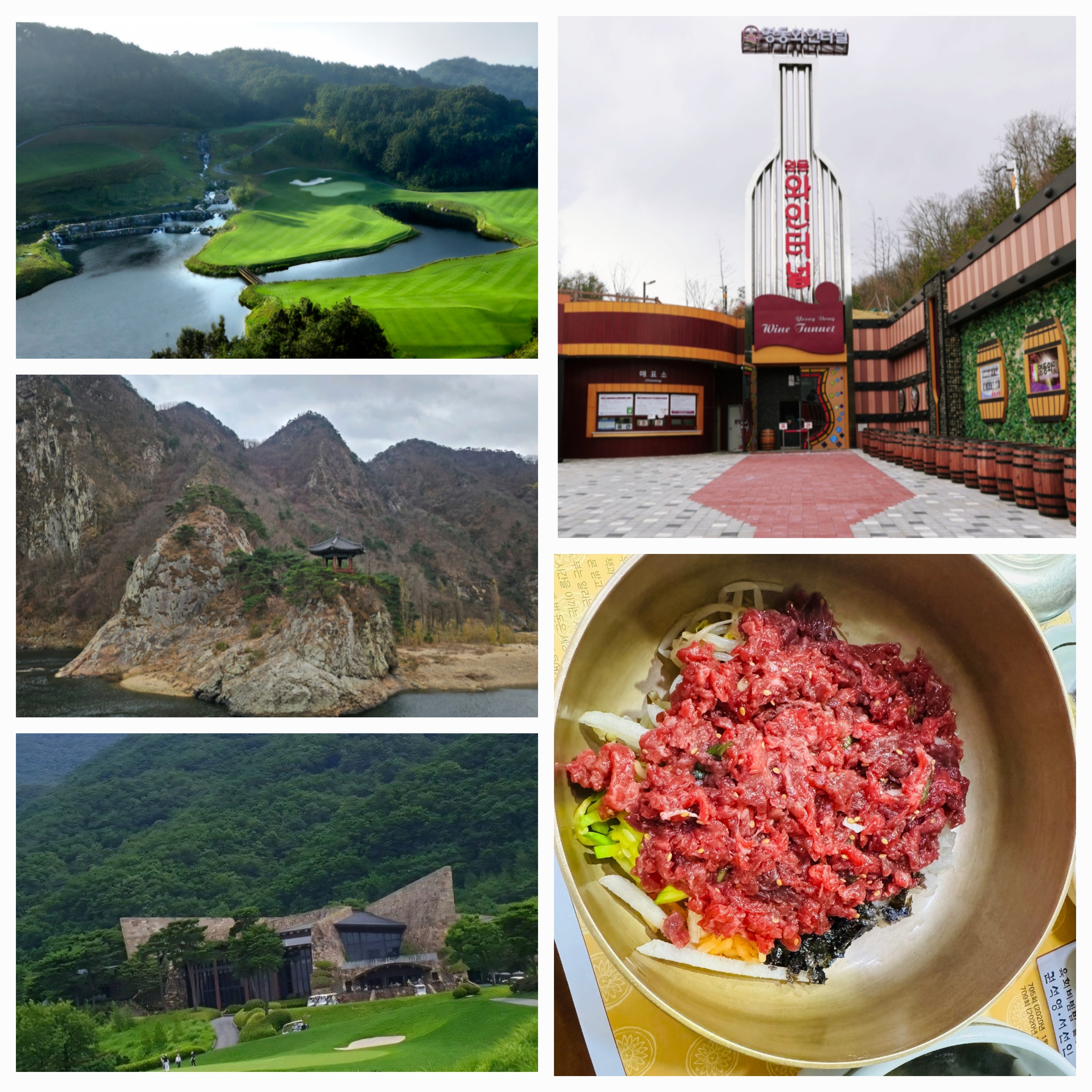 영동 레인보우힐스CC당양 육회집 식당,와인터널,월류봉 사진 모음