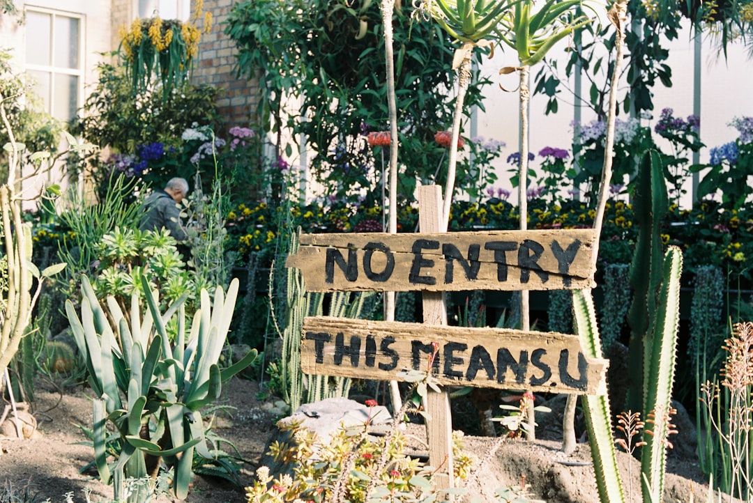 Film