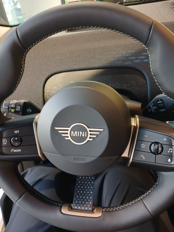 미니 컨트리맨 핸들