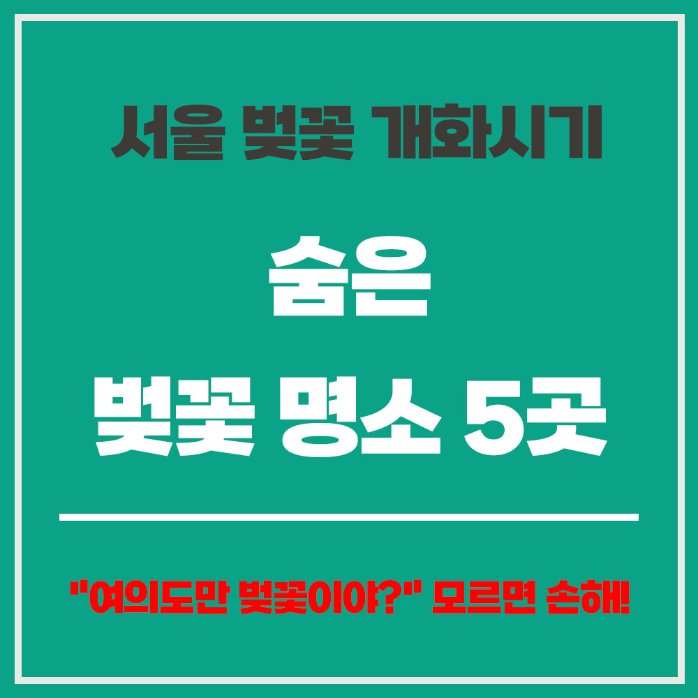 서울 벚꽃 개화시기 숨은 벚꽃 명소 5곳 여유롭게 즐기는 꿀팁