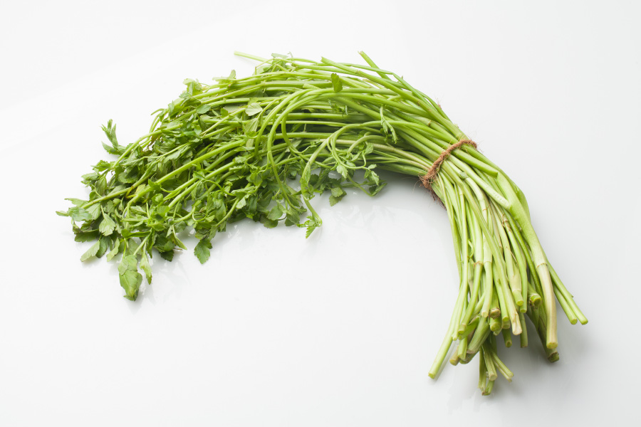 야생에서 채취를 한 미나리를 깨끗하게 세척을 한 후에 한움큼 모아서 끈으로 묶은 것을 하얀 바닥 위에 놓아두고 찍은 사진