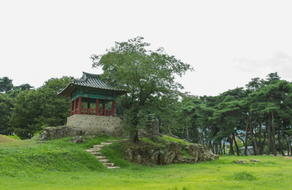 국내 여름 휴가 여행지 추천! 올여름 충북 영동에서 만나는 청정 피서지