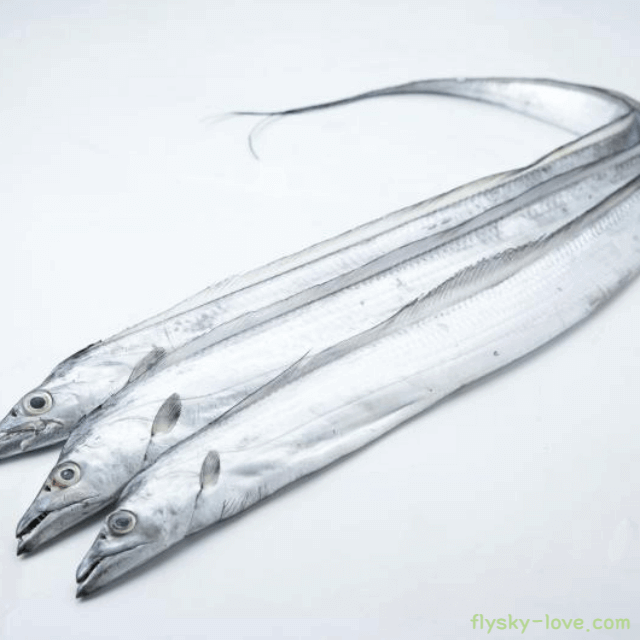 심혈관 질환에 좋은 갈치