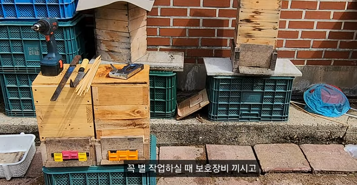토종벌 꿀 수확의 핵심, 6월의 법칙과 겨울잠의 비밀