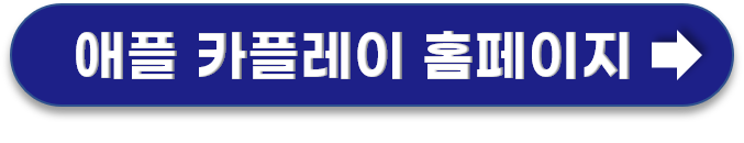 애플 카플레이 홈페이지 링크