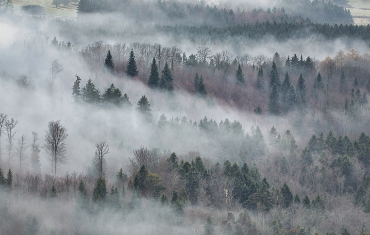 지붕 위에 시간 내린 마을 – 설경이 아름다운 마을 여행