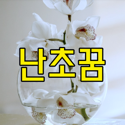 난초꿈