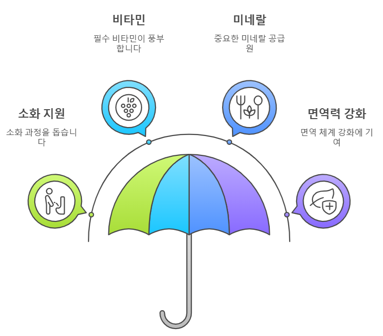 배즙 건강
