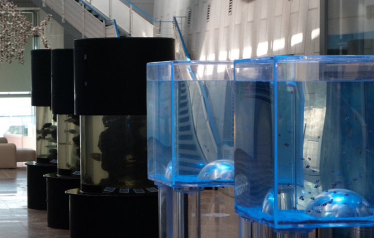 통영 수산과학관