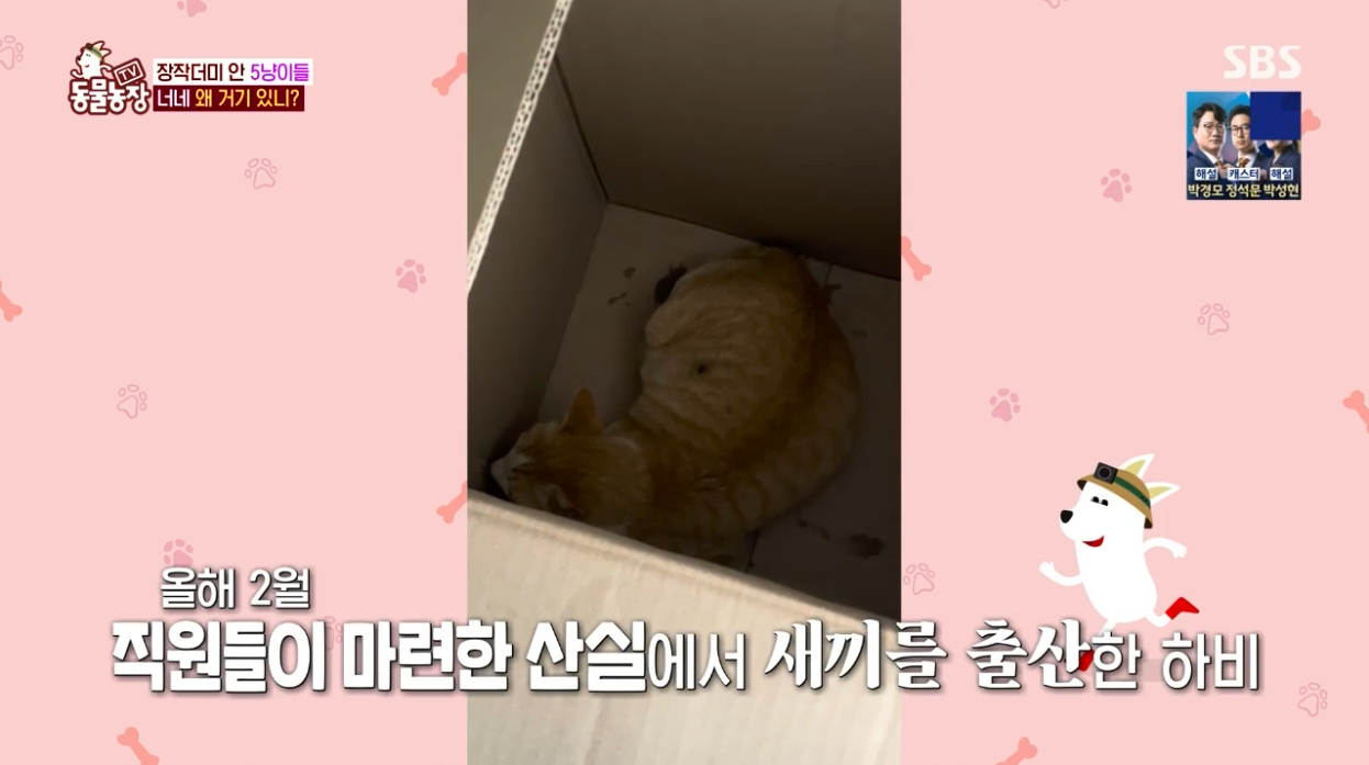 동물농장