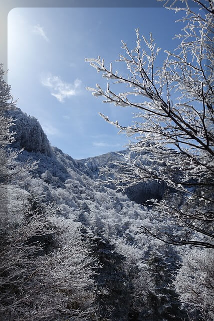 새해 맞이 한라산 야간 탐방예약안내 이용요금
