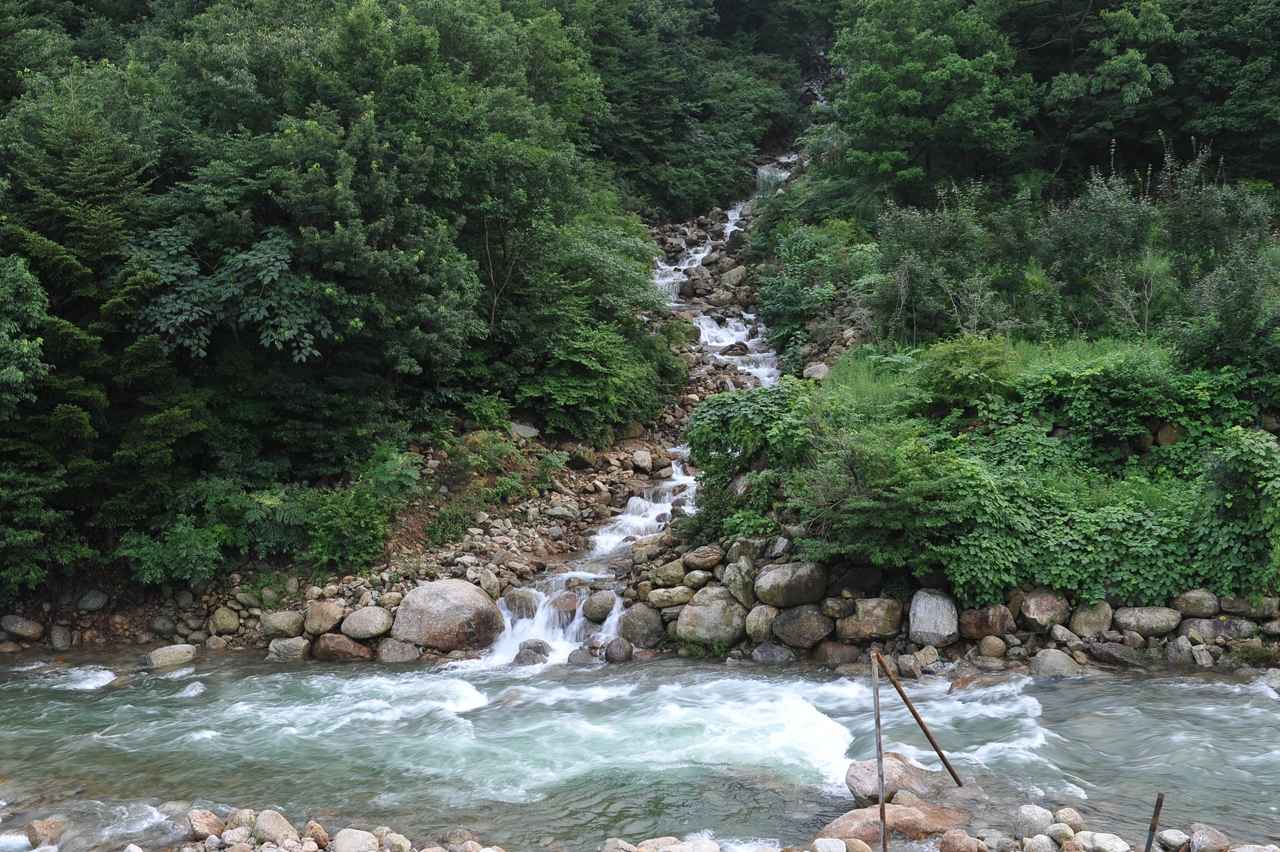 동곡계곡