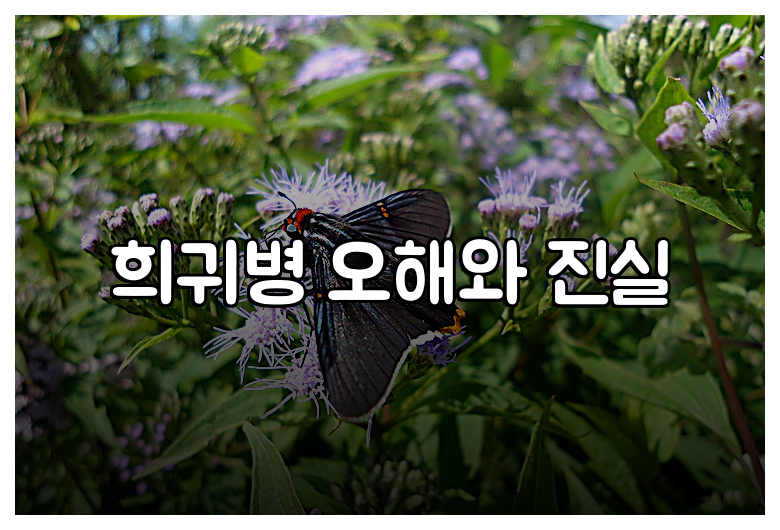 희귀병 오해와 진실
