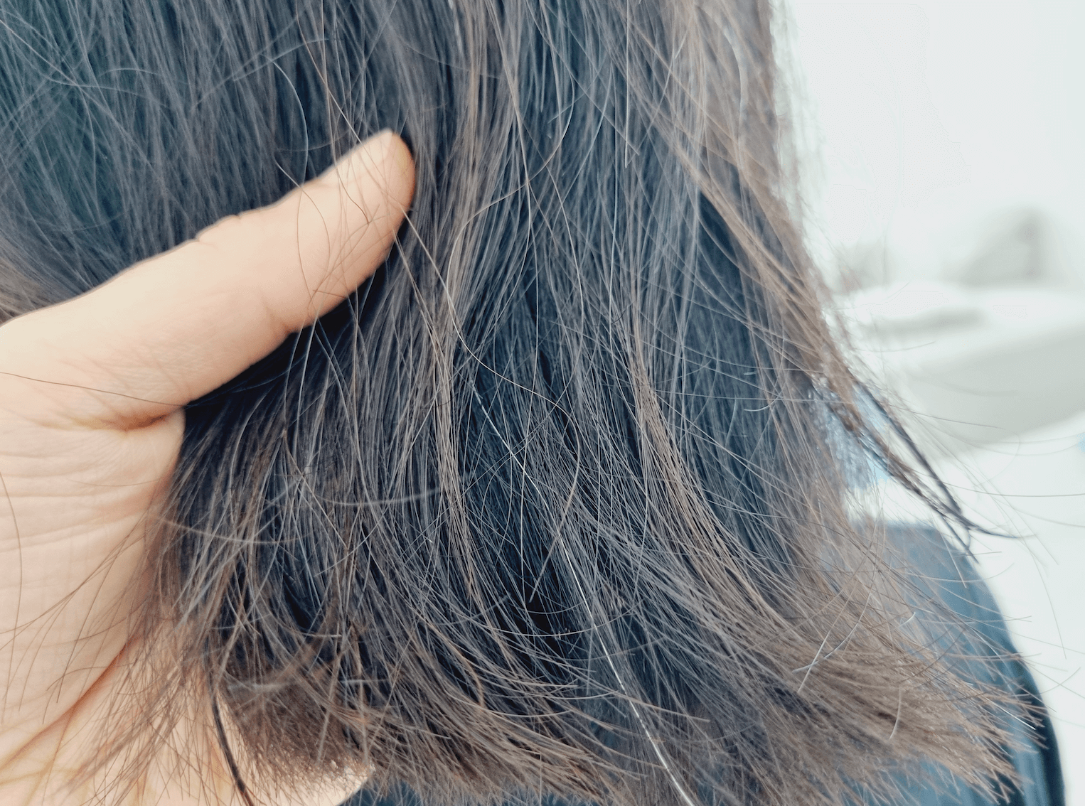 사용전 머리카락 상태