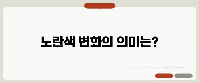 소변 색깔로 보는 건강 신호 노란색 이상은 문제일까
