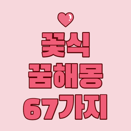 꽃 꿈해몽 67가지