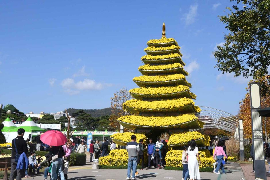 함평 대한민국 국향대전