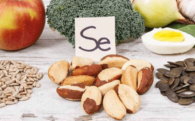 전립선-건강-영양제-추천