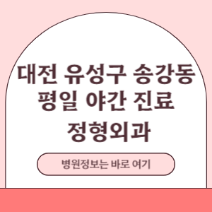 대전 유성구 송강동 평일 야간진료 정형외과 진료 병원
