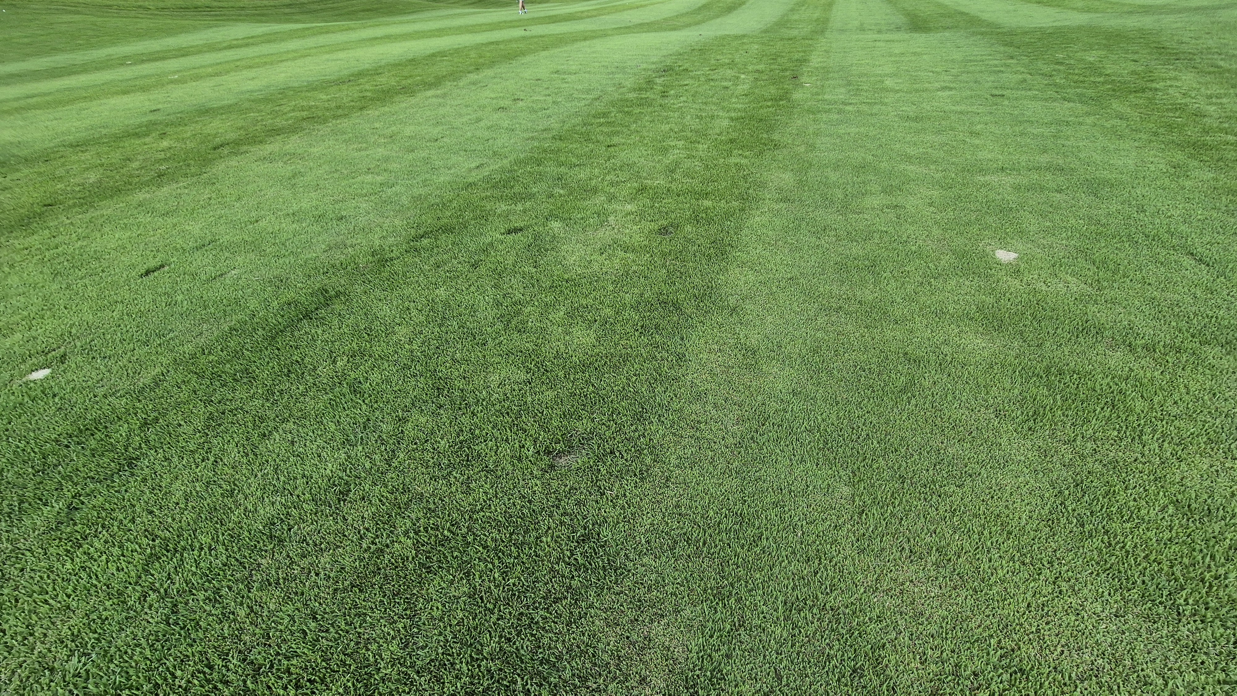 동원썬밸리cc 라운드 후기