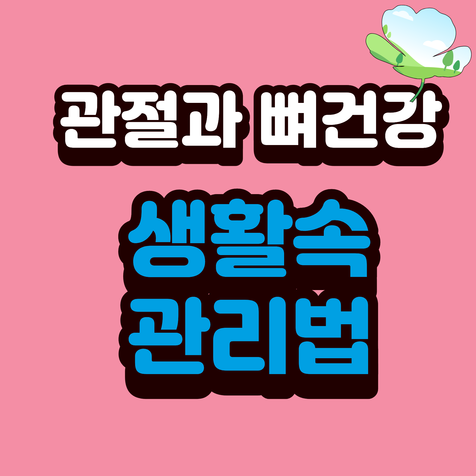 50대 관절과 뼈 건강을 지키는 생활 속 관리법