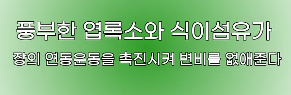  풍부한 엽록소와 식이섬유가 장의 연동운동을 촉진시켜 변비를 없애준다