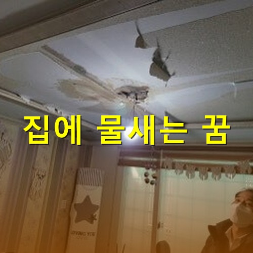 위층-수도관이-터져-아래층-천장에서-물이-새는-모습