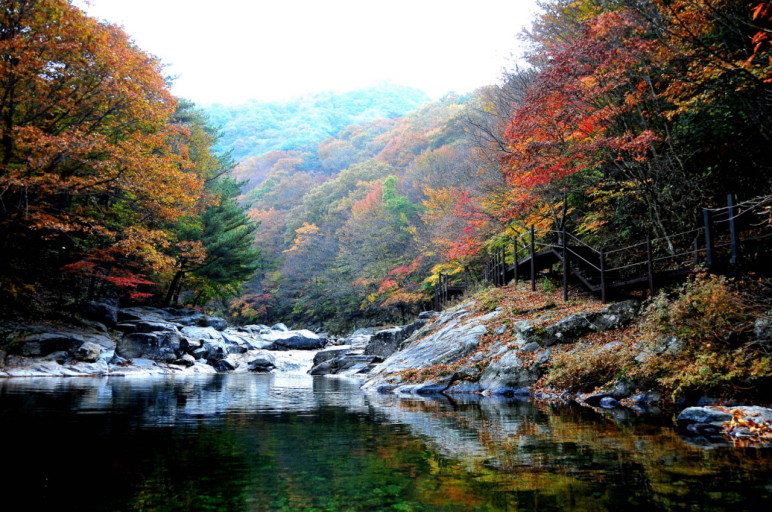 지리산 단풍시기