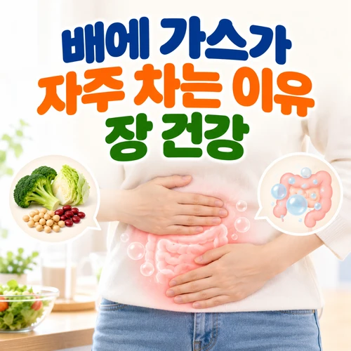배에 가스가 자주 차는 이유 장 건강