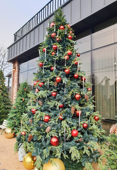 포천-숲속의제빵소-야외의-큰-크리스마스트리가-보인다