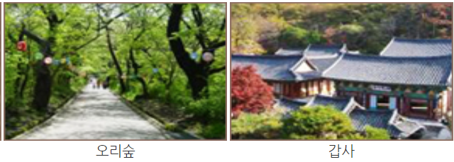 계룡산 등산코스