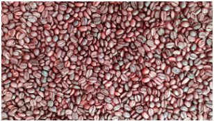 생두의 맛 프로파일