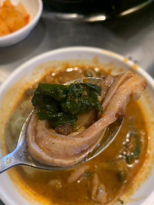 홍대맛집