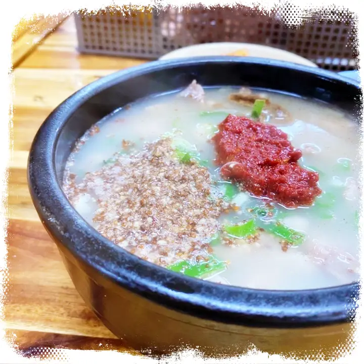 굿모닝대한민국라이브 머리고기 순대국밥 강원 원주 맛집 위치