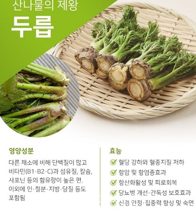 6시내고향-두릅