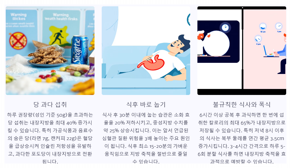 내장지방 축적의 원인