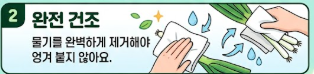 대파 보관법