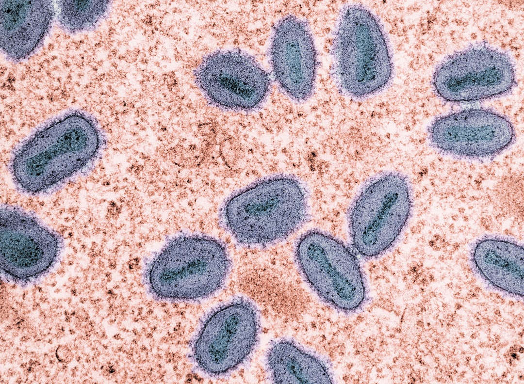 Hepatocyte