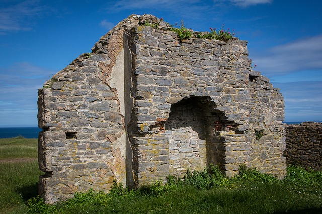 포트워스의 경제 자연환경 교육