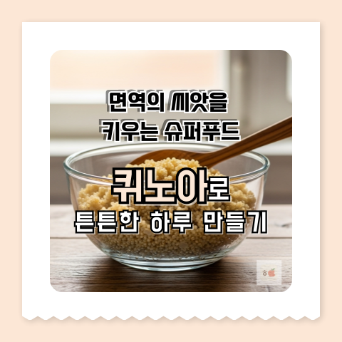퀴노아 효능 면역력 강화에 좋은 이유