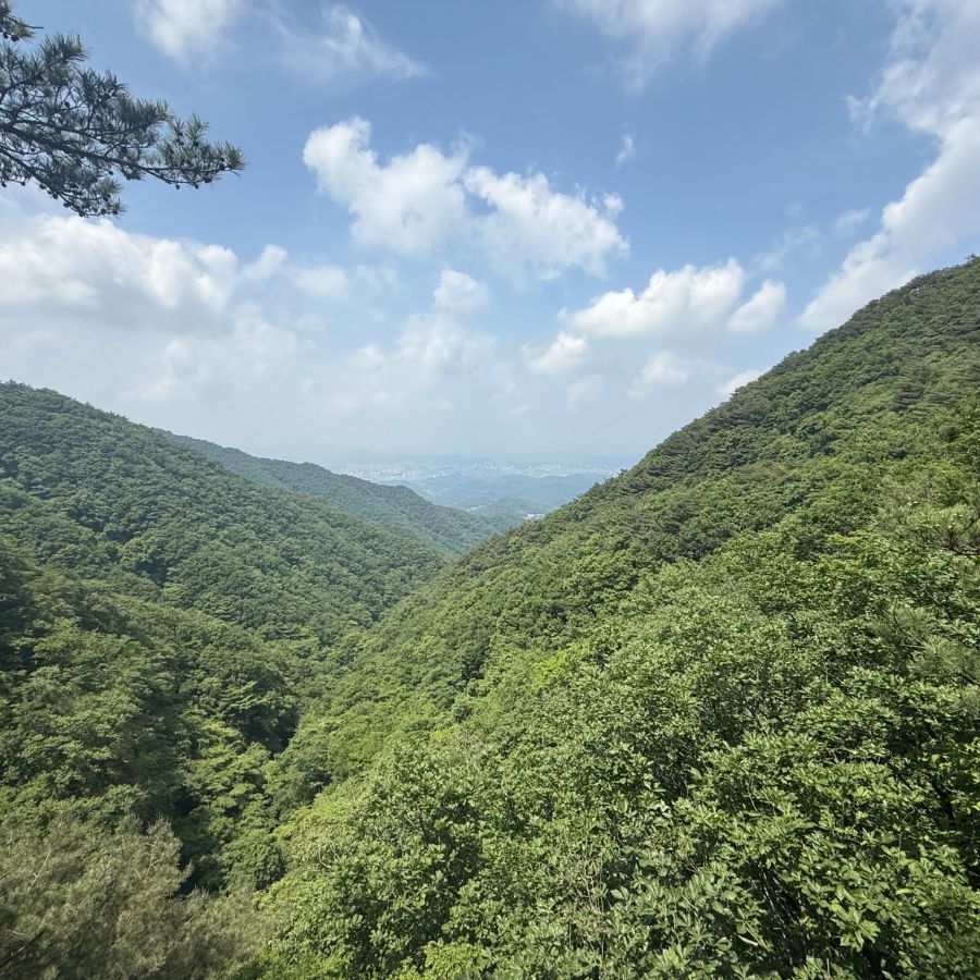 치악산