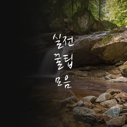 2025 광주시 공영주차장 요금 감면..