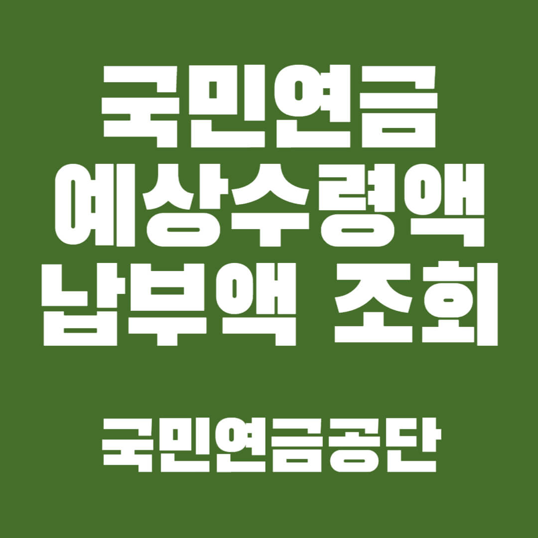 국민연금 예상수령액
