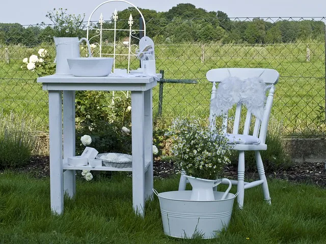 잎닦기 관리 미세먼지제거 광합성도움 우유물사용 주의점_6