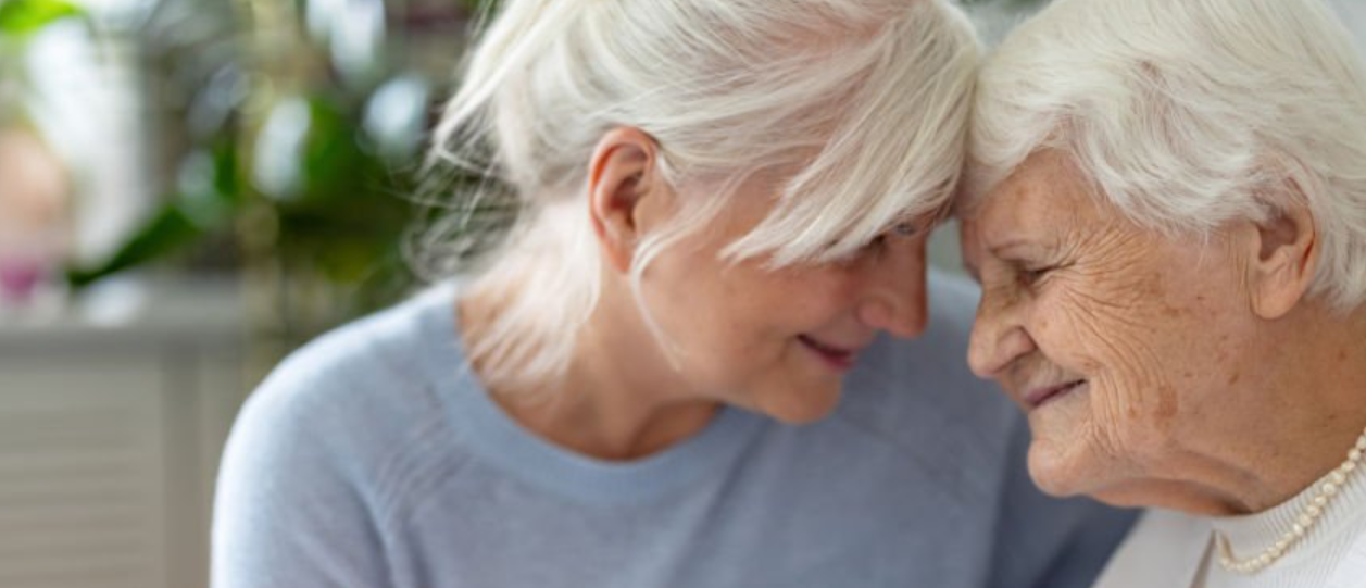 치매의 정의, 발생현황, 치료제, 예방