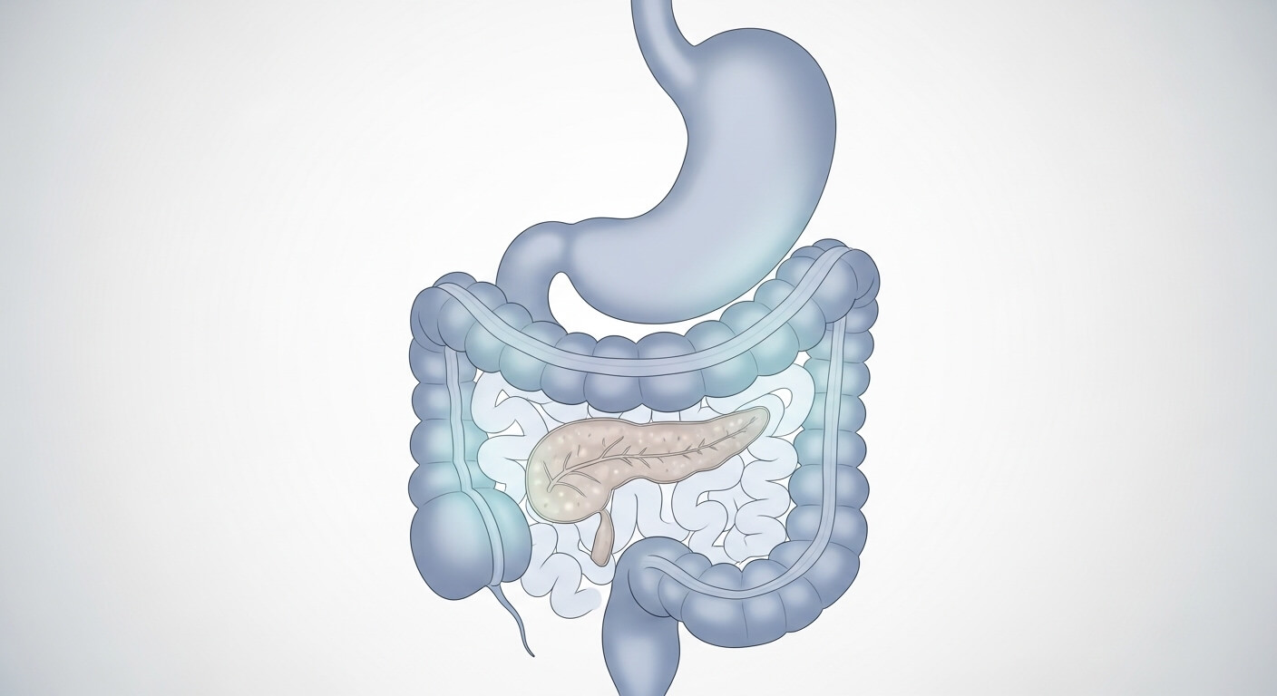 소화기암 원인과 증상 (위암, 대장암, 췌장암)
