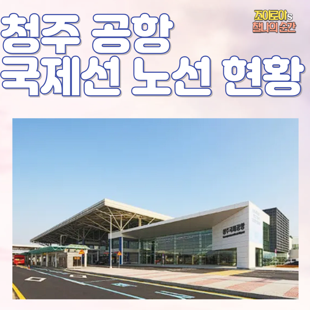 청주 공항 국제 노선 현황