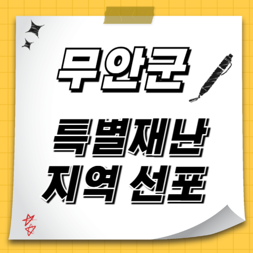 특별재난지역
